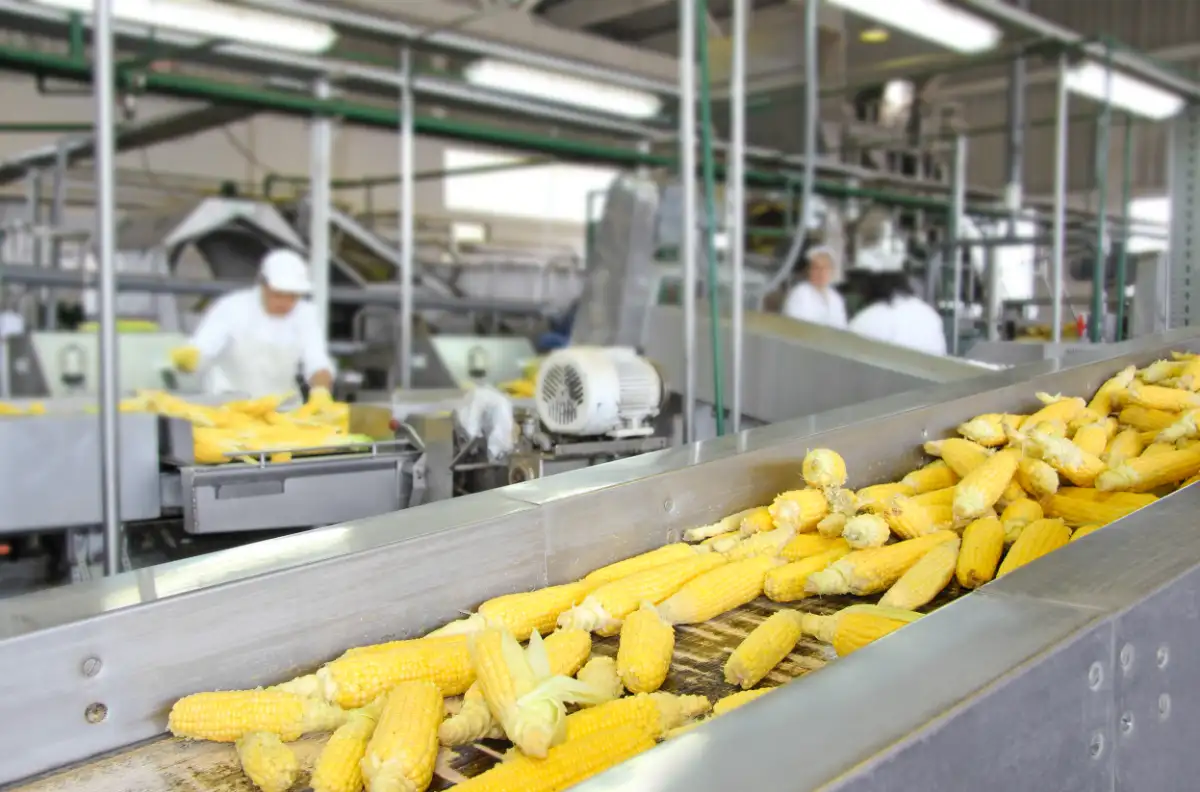 Agriculture Construction For Produce
